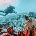 Donsol dive sites and snorkelling spots